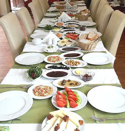 Silva Ayvalı