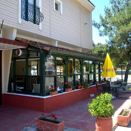Silva Ayvalı
